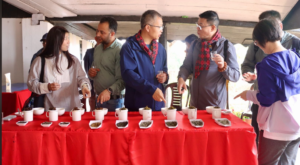 china22025 03 16 07 19 16 toli