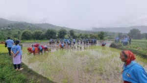 दिवस किसानलाई सम्मान